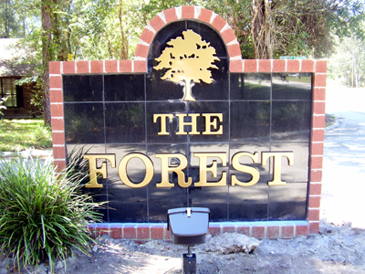 THE FOREST