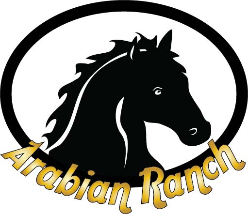 P25450 - Wrought Iron Sign for Arabian Ranch, with Horse Head