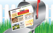 InSight-Ads Approved Vendor