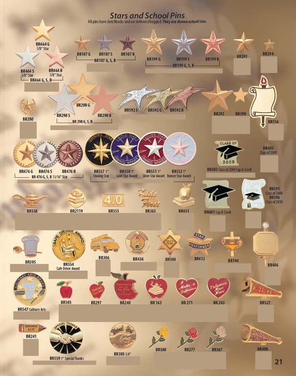 Recognition Pins 7