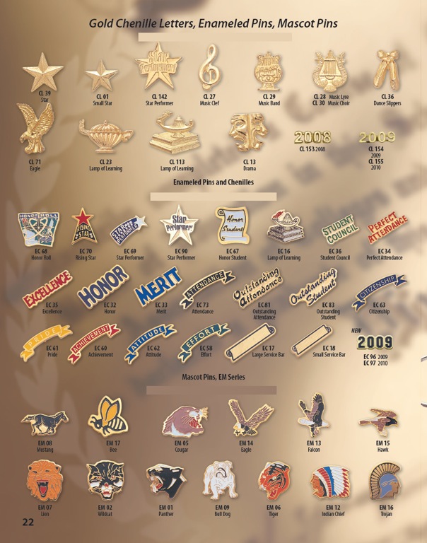 Recognition Pins 8