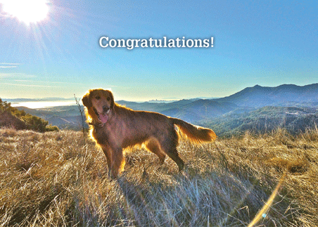 Congratulations