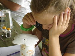 summer camp aldridge gardens