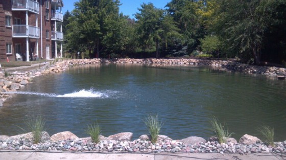 Eagle Nursery Ne Commercial Landscaping