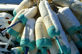 Snowy Buoys