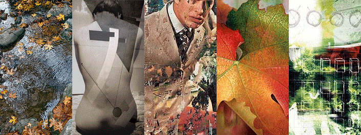 Collage