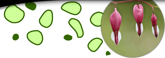 http://cdn.firespring.com/images/c/4/2/b/2/c8d068c2-4cbc-2e41-b4d5-2c20840b069c.gif