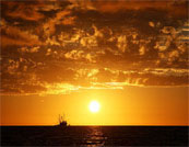 Bright Horizons