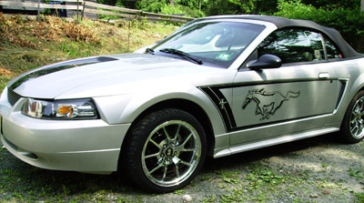 Custom Graphics
