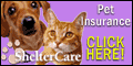 ShelterCare banner-link