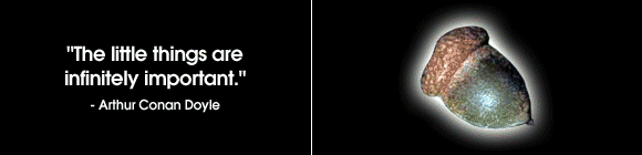 http://cdn.firespring.com/images/c/b/9/0/5/ca8c5deb-bfef-9473-0e33-5fbd50ae7d44.gif