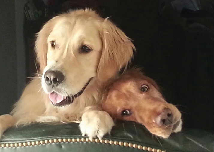 Friendship