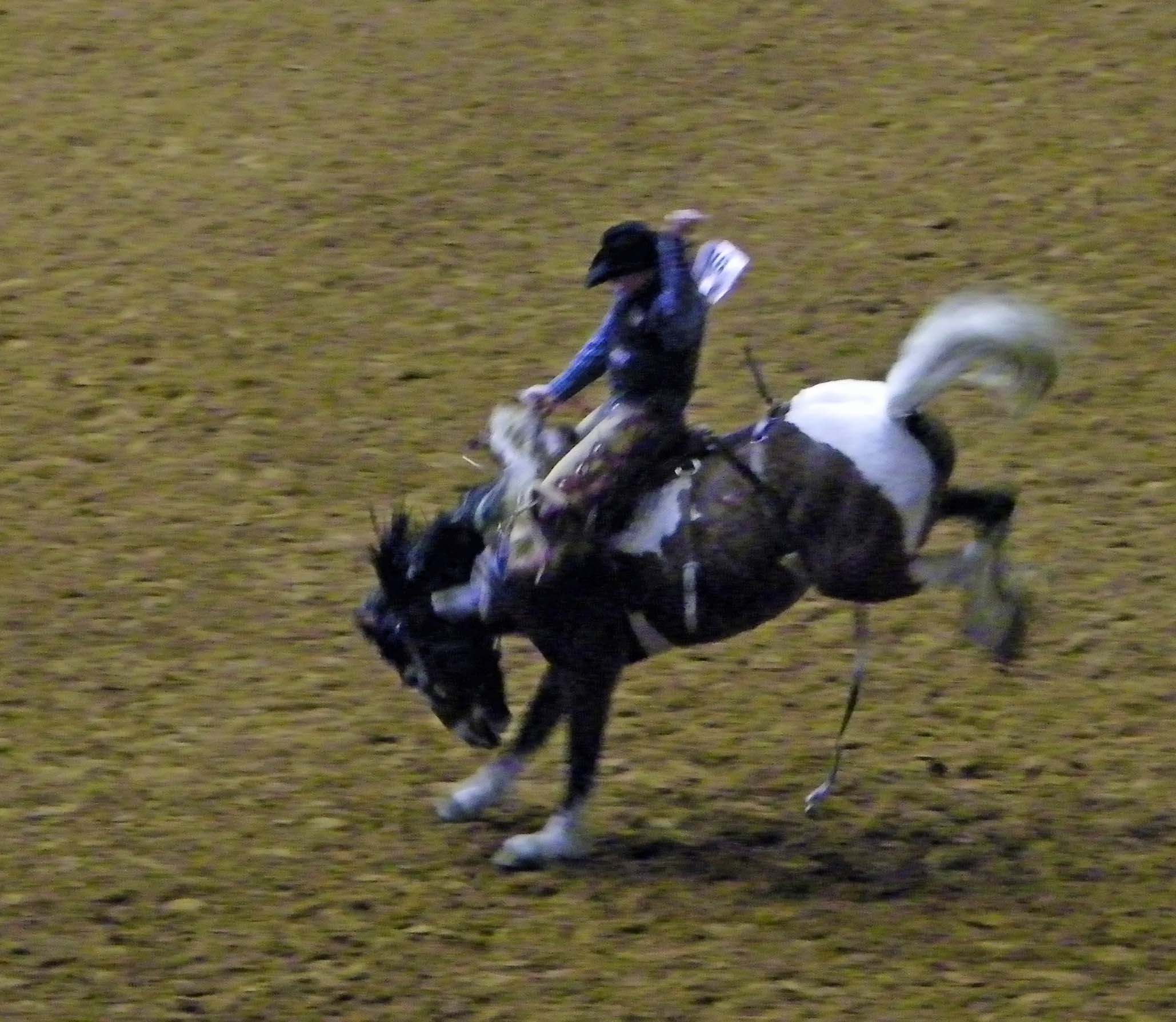 Chisholm Trail Rodeo &amp; Parade