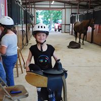 Public Horse Camp