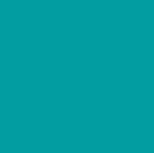Teal 320