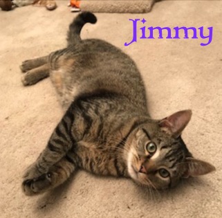 Jimmy - OTHER 042518