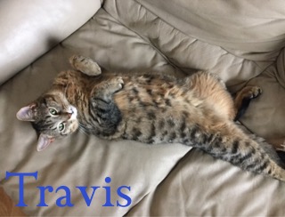 Travis adopted 060918