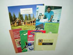 Brochures and Flyers