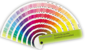 Graphic Design
