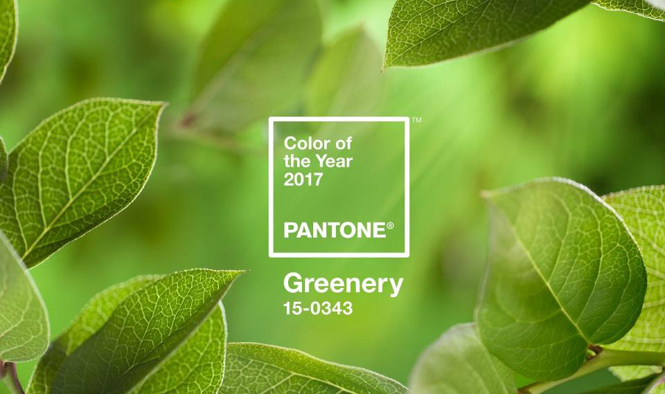 How Does Pantone Choose its Color of the Year?