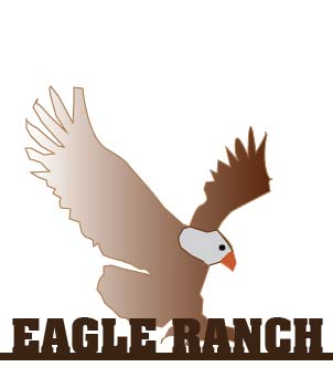 O24563 - Wrought Iron Eagle Ranch Sign, with Bald Eagle