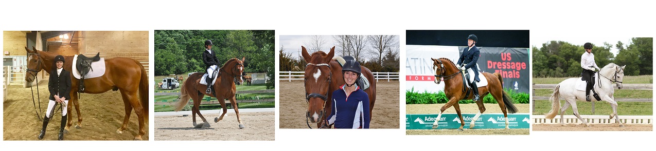 TDF Awards Continuing Education Grants To Five Dressage Instructors