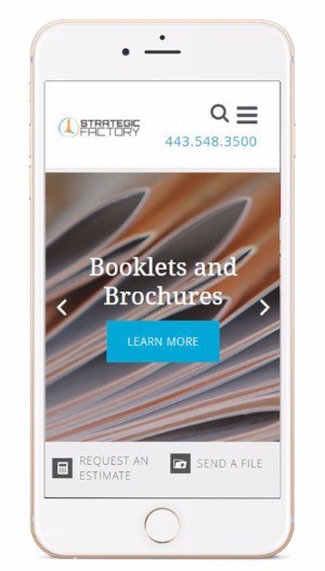 Mobile website