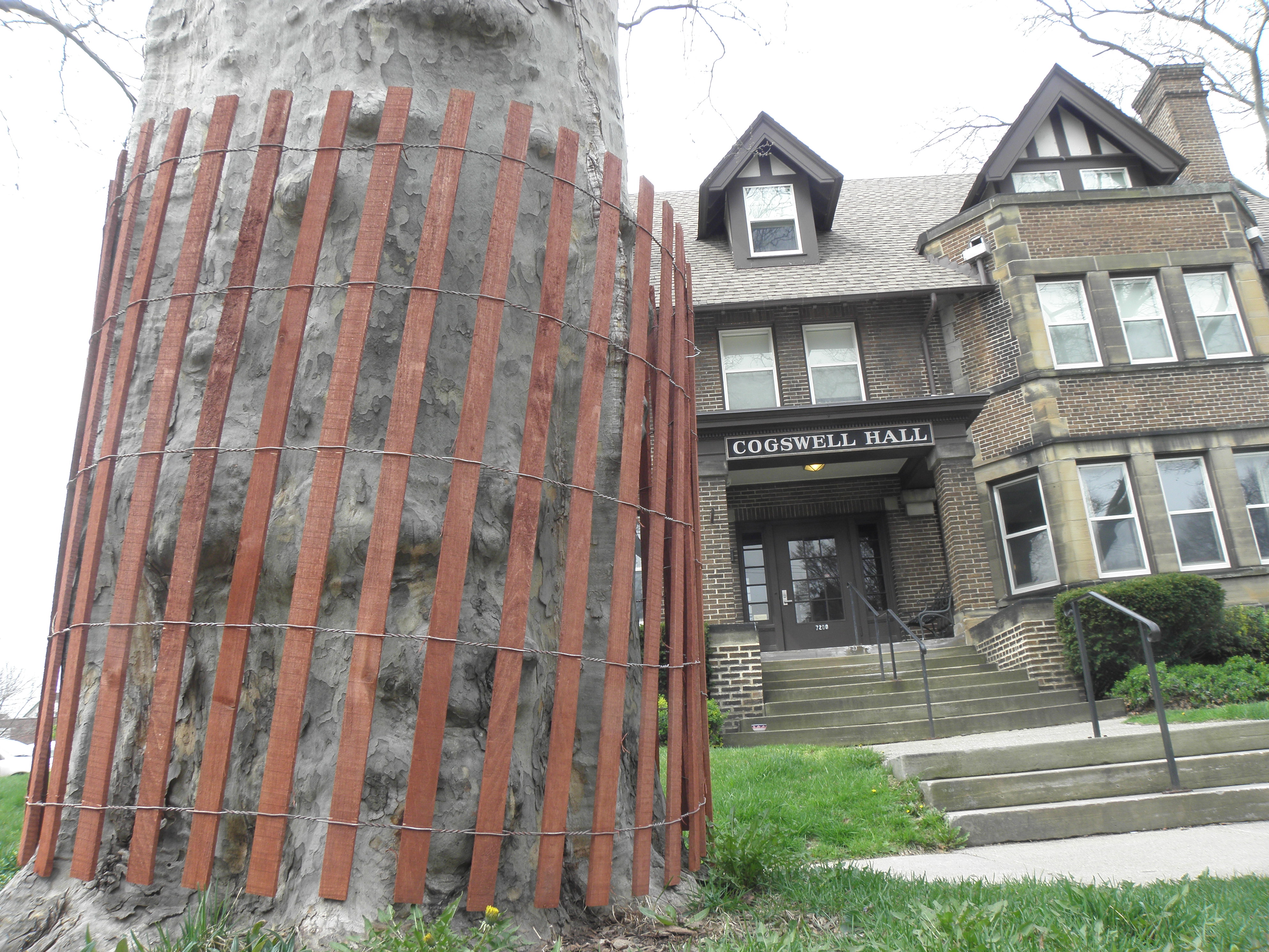 Neighborhood tree protectors lauded for modeling 'a better way'