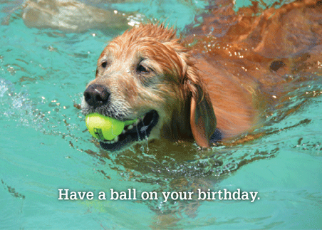 Birthday