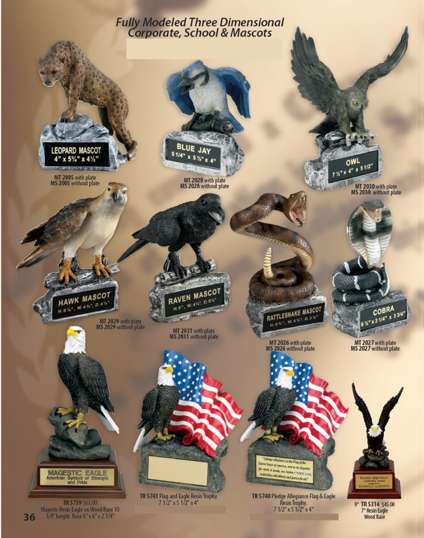Scholastic Awards 6
