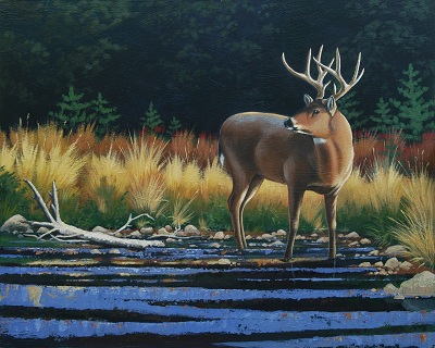 A Brush With Nature, Paintings by Jonathan Shaw, on View at Adkins Arboretum