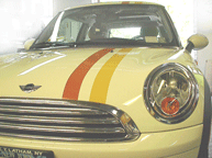 Custom Striped MINI