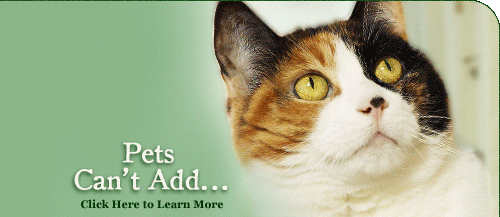 Spay & Neuter