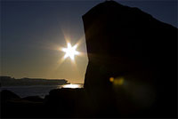 Morning Star, Inc