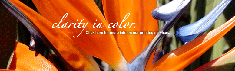 http://cdn.firespring.com/images/d/3/6/f/2/d6b04fbc-39f0-6caa-f6a0-22f6a4c6e585.gif