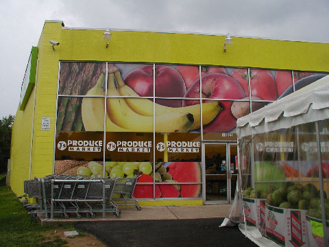 Wall Mural #1