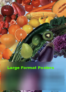 Large Format Posters