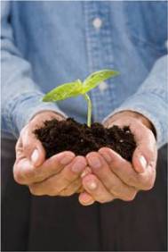 Environmental Impact
