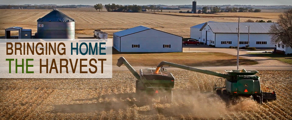 Bringing Home The Harvest