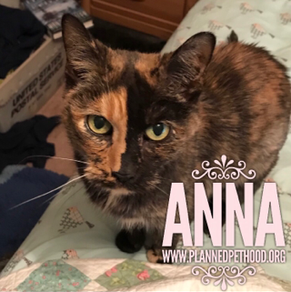 Anna passed 040718