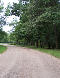 Charlton Park Forest