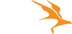 Falcon Printing & Copying Inc.