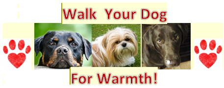 Walk for Warmth event offers fun for two and four-legged participants alike