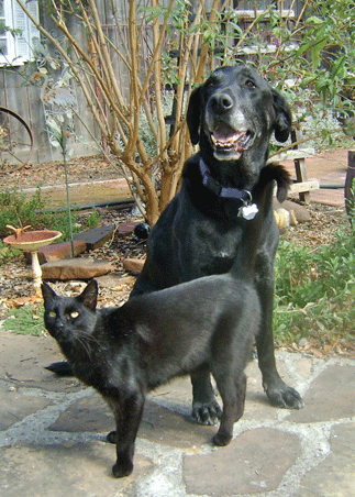 Friendship