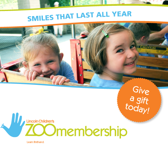 Children smiling as they ride the train at the zoo.