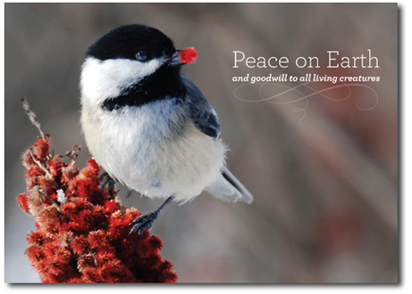 Holiday Cards