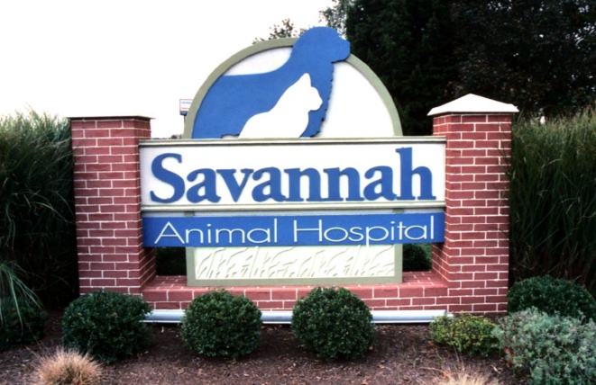 BB11715 –Entrance Monument Sign for Animal Hospital
