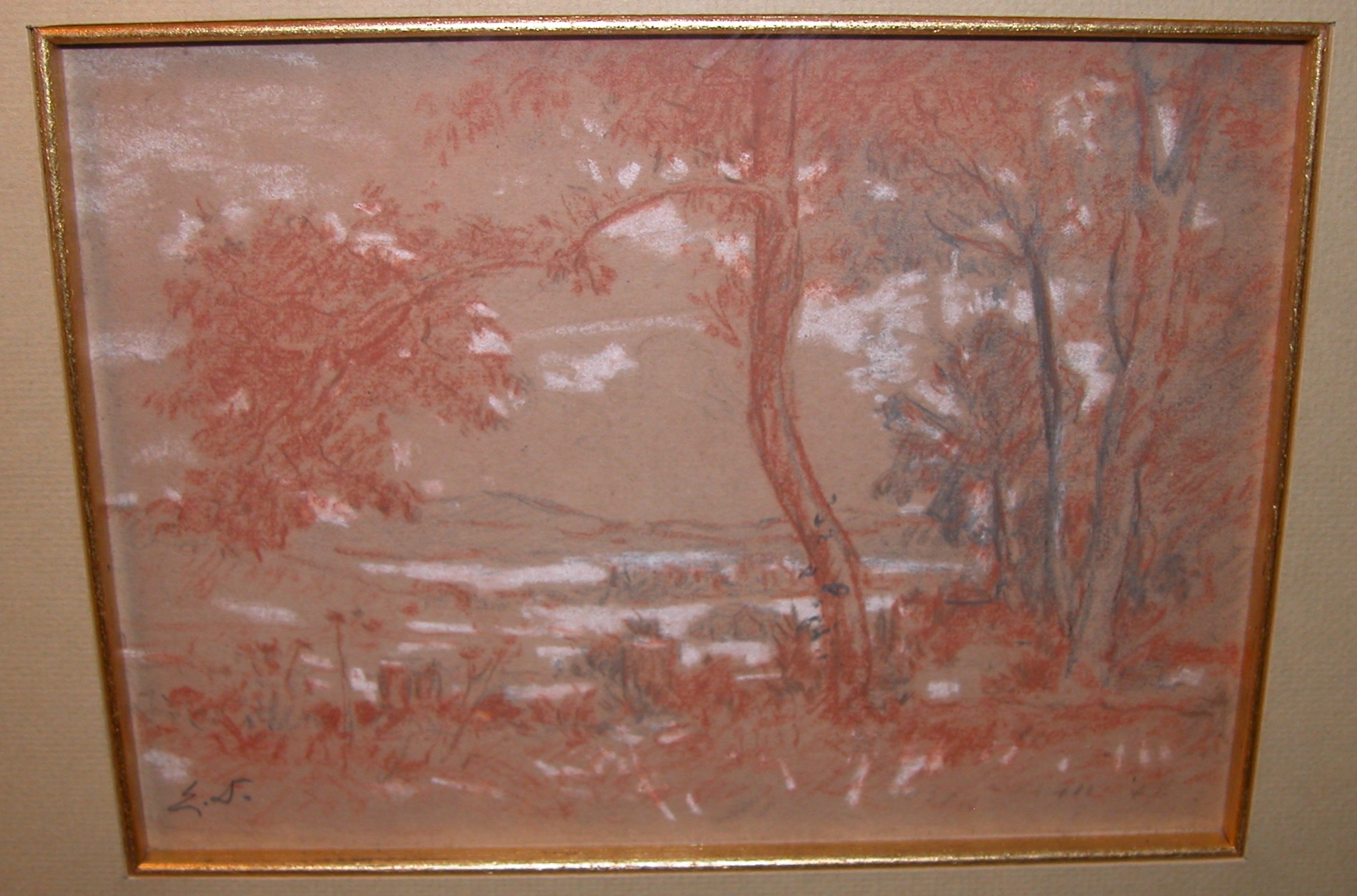 Amber Trees