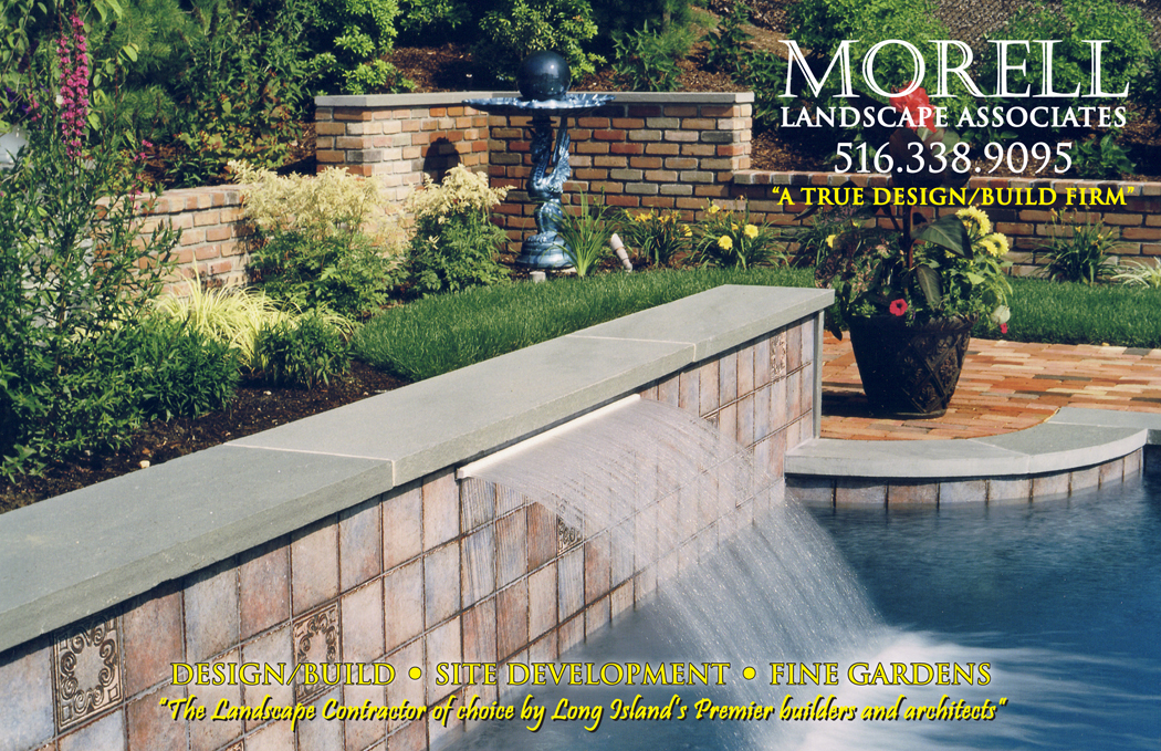 Morell Postcard