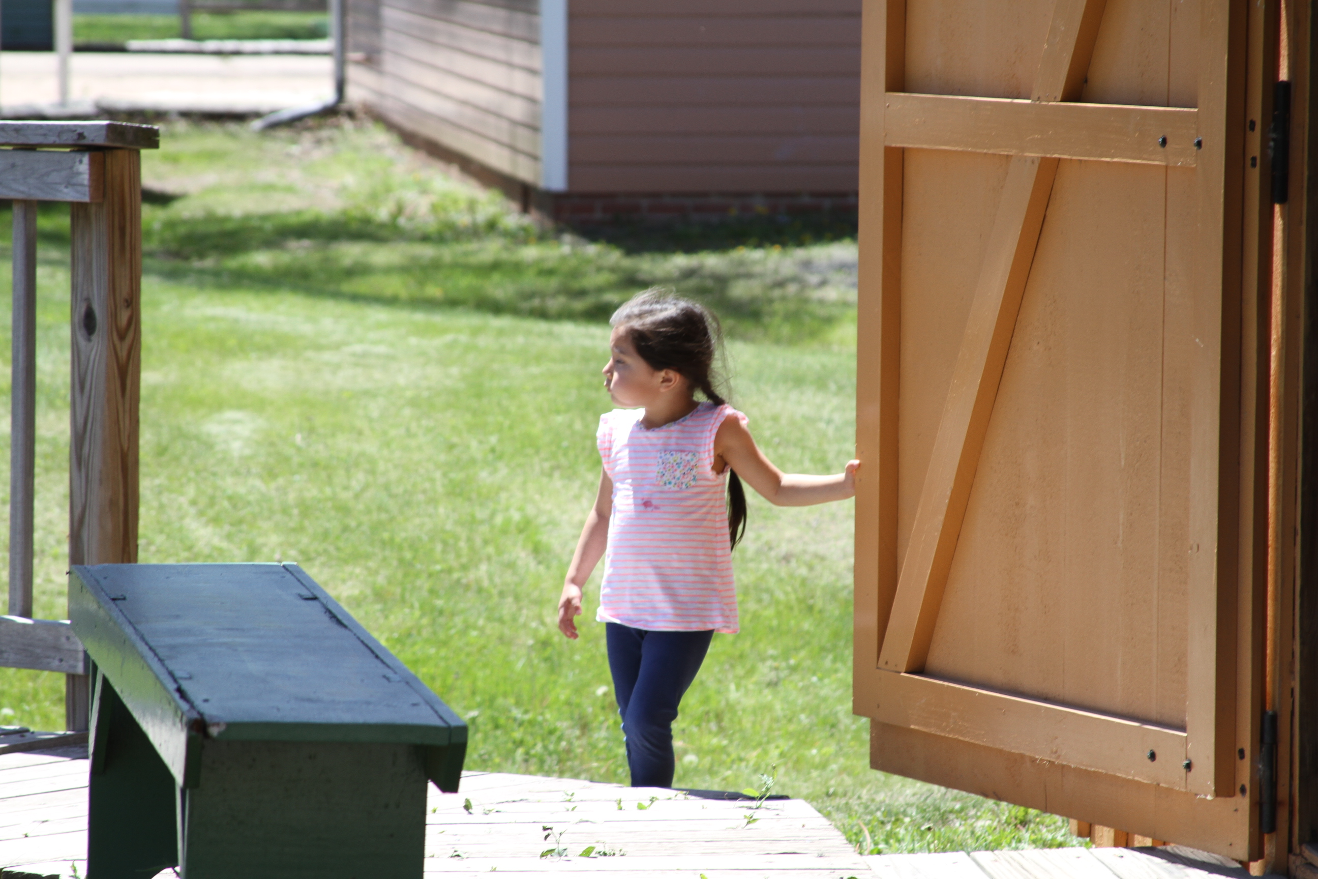 Summer Opening of Outdoor Exhibits